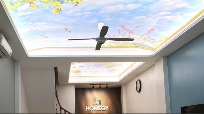 Giải pháp chiếu sáng Homegy Skylight